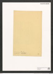 Pleurosigma marinum Donk. (de-Toni-Nr.: Genus 13, Species 1009) Zeichnungen Sammlung Grunow (NHMW-BOT-W0368912)